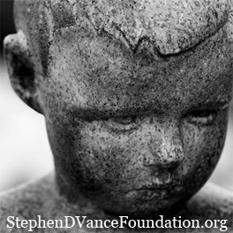 The Stephen D. Vance Foundation was created to heighten the awareness of the increased targeting of humanitarian aid workers world-wide.