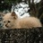ただ漂うのアイコン