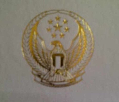 الله ثم الوطن ثم رئيس الدولة