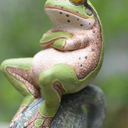 Gary Epps - @gjfd11 - Twitter