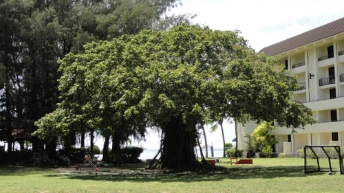 jmlee7355's profile picture. 