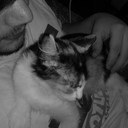 Erik ponce baldon - @Erikponcebaldon - Twitter