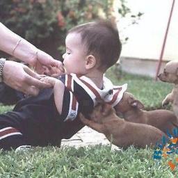 Meirjan7's profile picture. 