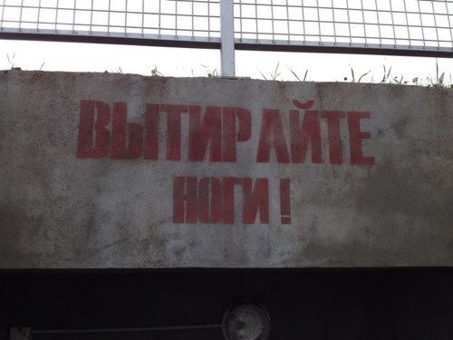 gonzalo_aguiar's profile picture. 