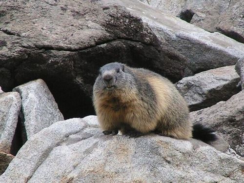 maris2u's profile picture. 