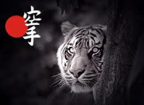 I am known for my logo Ikken Hissatsu 一拳必殺 to my oldest Karateka partners ^.^