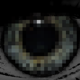 vhajek's profile picture. morous, lenoch, minimalista milující velké pixely