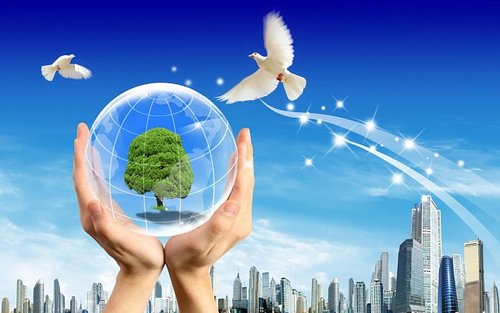 مدربة تربوية واجتماعية ، مصممة عروض تقديمية