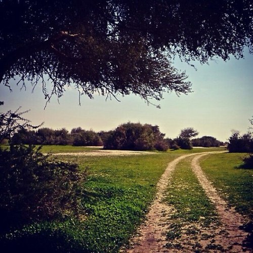 BinSwayan's profile picture. 