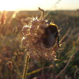 2101becca's profile picture. 