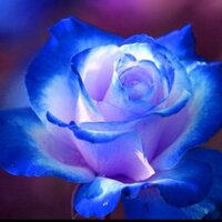 nate (@icnate) 's Twitter Profile