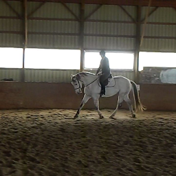 ashmccrickard's profile picture. 