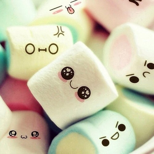 AlinaSchlitt's profile picture. Hey Guys, now, i'm new in Twitter so please follow me and of course I follow you back! To know: I post often on the day some cool/sweet/funny photos & from me3