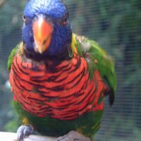 David Barrow (@davidbarrow) 's Twitter Profile