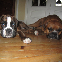 luis_bardaji's profile picture. 