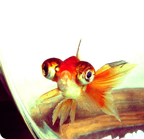 JaeAnonyma's profile picture. I make Modified Vintage Jewelry! and it's swell!....Check it out at @vitaedesign 1731 Grand Ave. Des Moines, IA