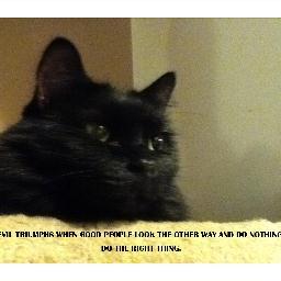 JulieSpellman3's profile picture. 