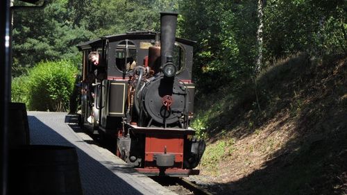 De Efteling Stoomtrein Maatschappij rijdt dagelijks met stoomtreinen door De Efteling. Met smalspoorlocomotieven die nog op echte kolen rijden.