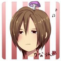 かなりん (@ykperc) 's Twitter Profile