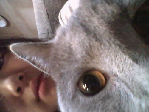 uninohoshi's profile picture. 好物は、パイナップルです。