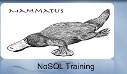 MammatusNoSQL's profile picture. 