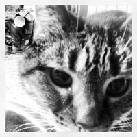 Hilde0101 (@hilde0101) 's Twitter Profile
