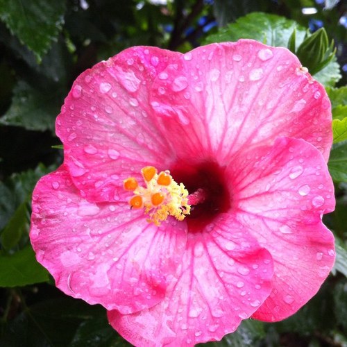 JLCham's profile picture. I'm a teacher and that's what makes me cool. Oh, oh. I am so cool.