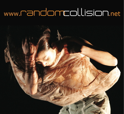 Random Collision develops, supports and exposes promising artists in the field of choreography.