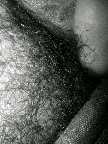 VirtualityMate's profile picture. 