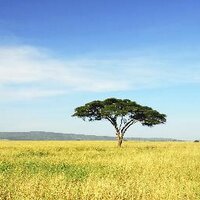 Pristine Trails (@pristinetrails) 's Twitter Profile