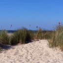 Sandra Maass - @Sasa_s04 - Twitter