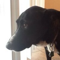 Ken Yates (@lucky9803) 's Twitter Profile