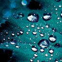 Maggie Swanson - @33swanny - Twitter