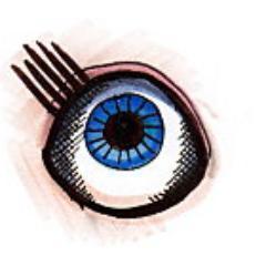 Coraco84's profile picture. Journaliste @CapitalFinance  Passée par @Option_DA @LouisBachelier @PEMagazine #droitdesaffaires #fusacq #privateequity