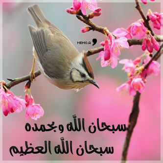 ^ no one can limit your dreams, so dont be afraid to dream large''