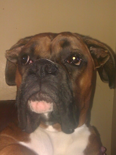 MillarHandbags's profile picture. 