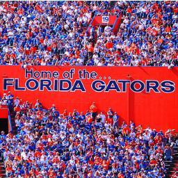 Thomasgogators's profile picture. Florida staff writer for http://t.co/nRcjNUpOzl. I heart all things Gators. I also love golf and bar b que, but mainly Florida Football.