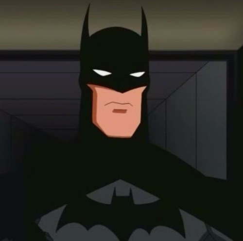 Bruce Wayne, CEO Of Wayne Industries A.K.A Batman Gothams Protector And Member Of The Justice League Becoming More Of A Team Player B02 #RP