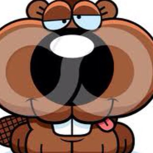 drunk_beaver's profile picture. 