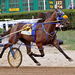 Track photographer at Scioto Downs, Miami Valley Raceway, Dayton Raceway, Delaware County Fair, Mahoning Valley Race Course and about 27 other Ohio Fairs