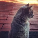 Prince  - @PrinceKitty42 - Twitter