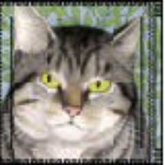 seticat's profile picture. A recovering human being trying to deal with the rocks life throws at me.