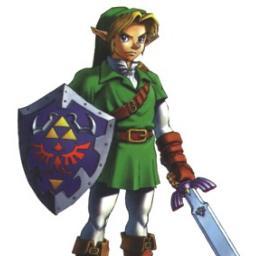 Chosen Hero of Hyrule, Master of Time, Wielder of the Master's Sword, Slayer of Ganon, Pig's Bane, Avid Collector of Masks, Bird Rider, Mortal Enemy of Chickens