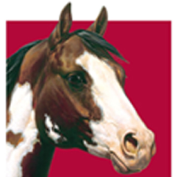 Paint Horse Racing, Horse Racing, Nomination Dates, Payment Dates, Stakes Winners, Top Qualifiers, Racing News, Updates and more!