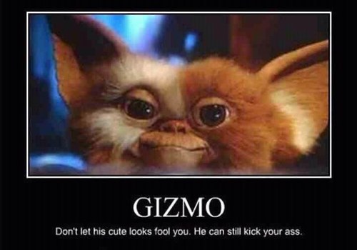 gizzy1976's profile picture. 