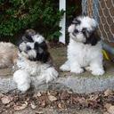 Jack Maness - @bjackmaness - Twitter