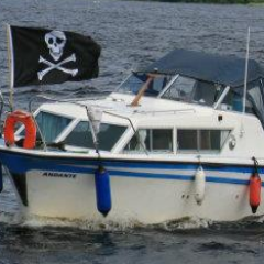 dbrislane's profile picture. 