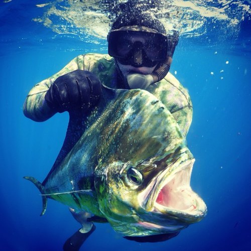 Online Retailer of Outdoor Products. Fishing Tackle, Dive Gear, Marine Electronics and more! Sign up for the White Seabass contest http://t.co/ZdY670PEvL