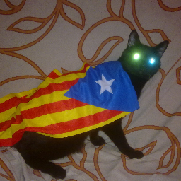ÉSTE MI TITI OFICIAL, CABALLERAS!!! Vicepresident de la candidatura gat negre. Tot perdut, tot per perdre!!!
Aquest @oriolcruz que m'imita és JIRIPOLLA!