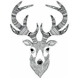 Freelance illustrator. https://t.co/i96ZLQE7do https://t.co/KIrbWm9d1g